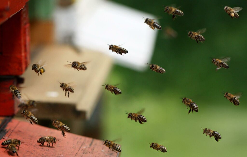 миссия барнаульский дрожжевой завод